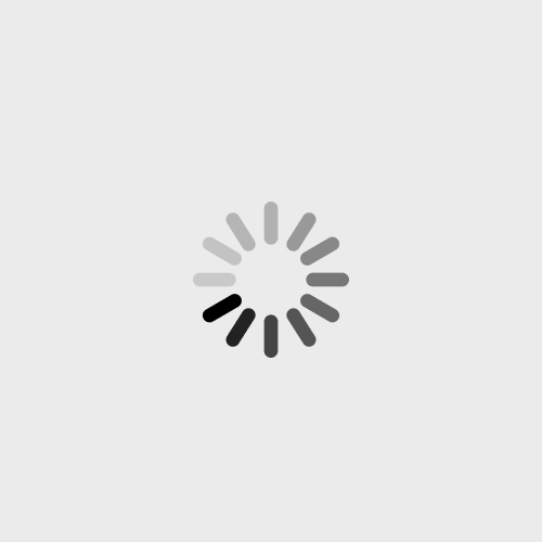 🛠️ Patch Correctif — Alpha v1.4