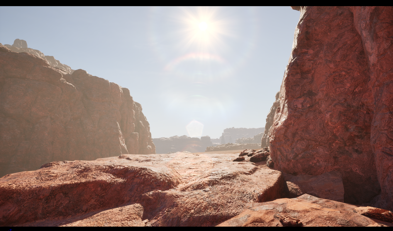 Biome desert