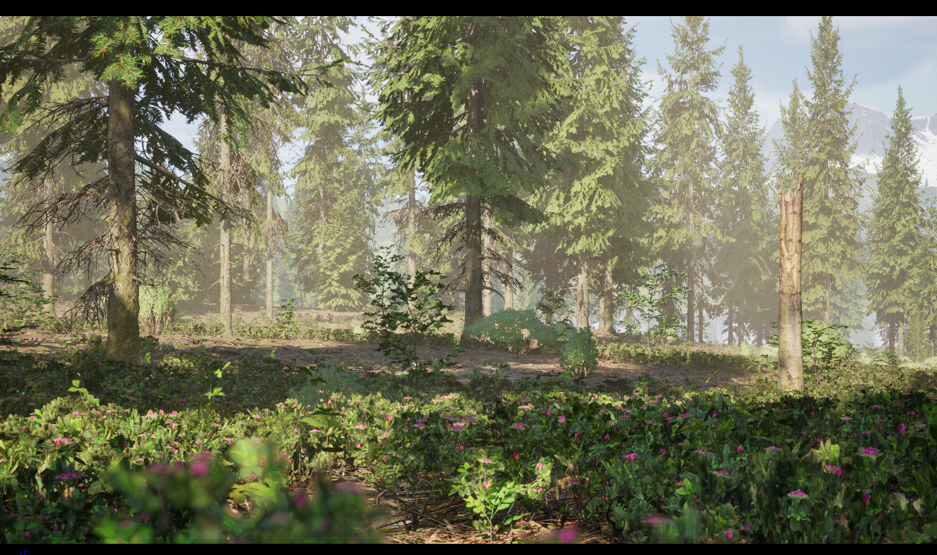 Biome foret