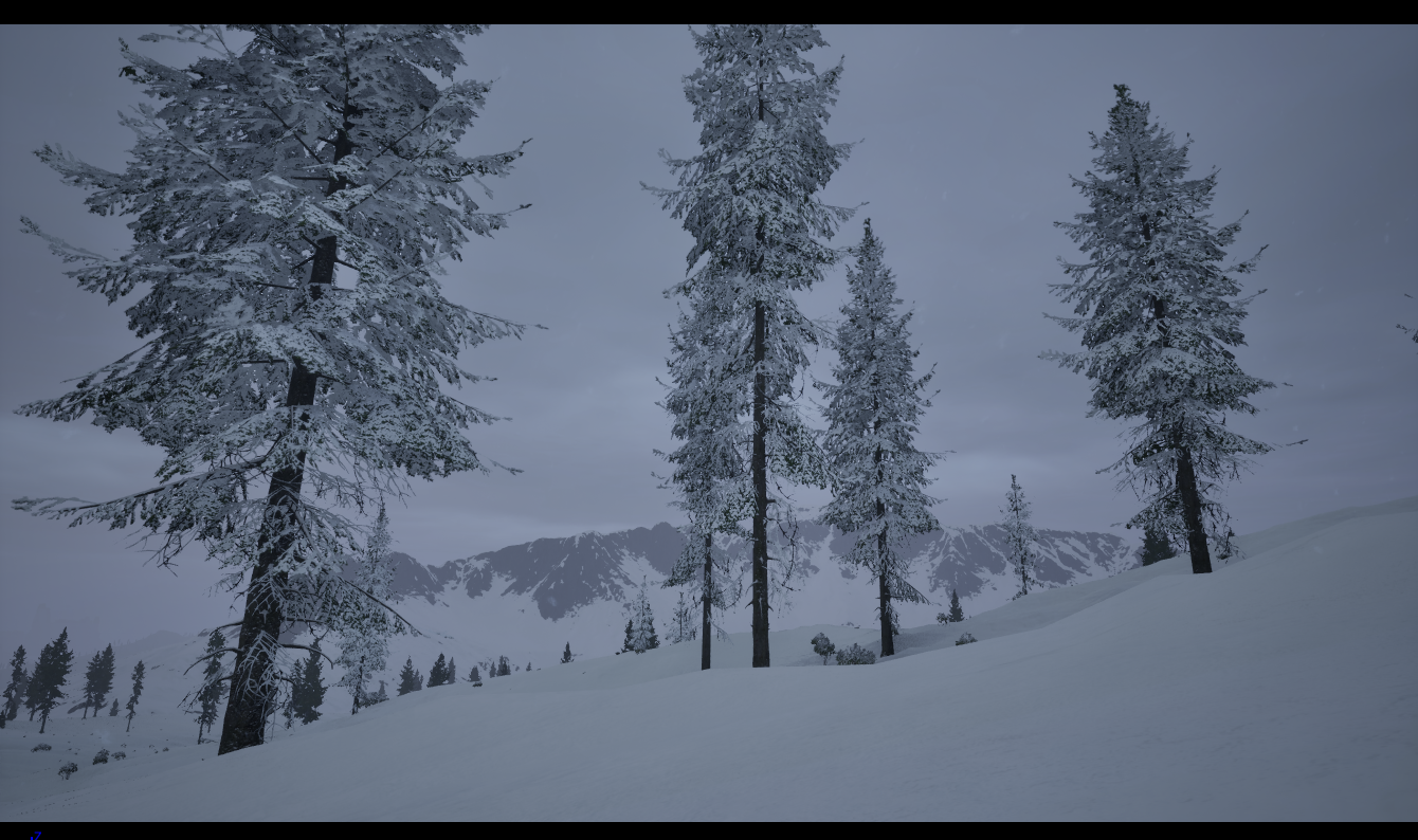 Biome neige