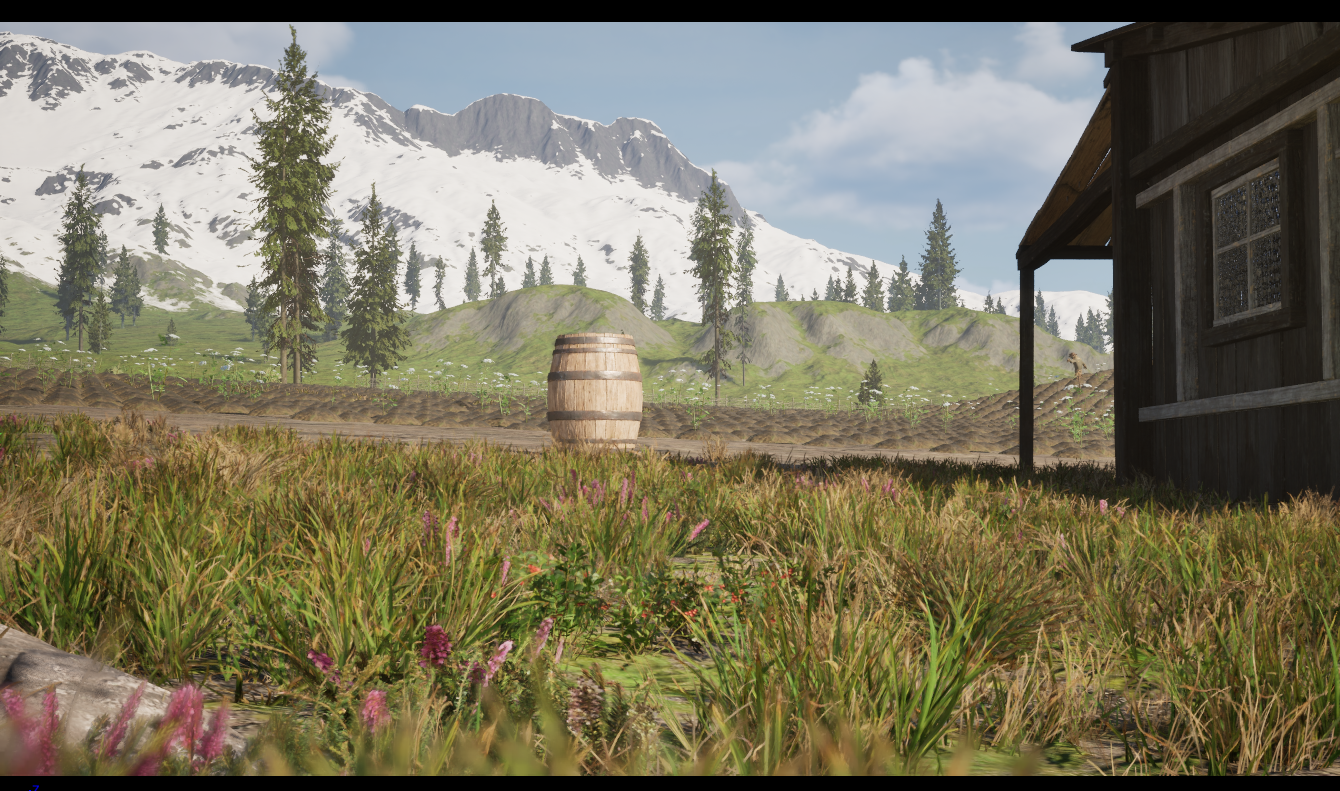 Terrain